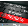ExportWorldwide provides website translation services