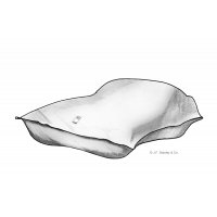 Garage temporaire de JF Stanley &amp; Co.